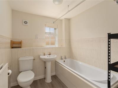 Picture 17